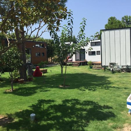 Sakiz Tiny House & Apart Urla Luaran gambar